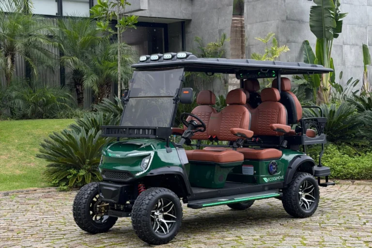 Carrinho de golfe: confira um guia completo sobre o tema