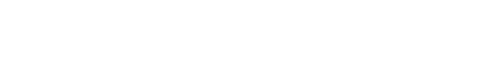 Bigcart Standard