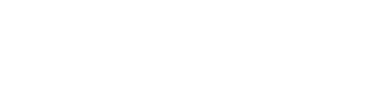 Bigcart Sport Premium