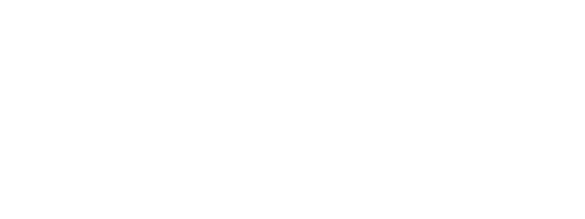 Bigcart Sport