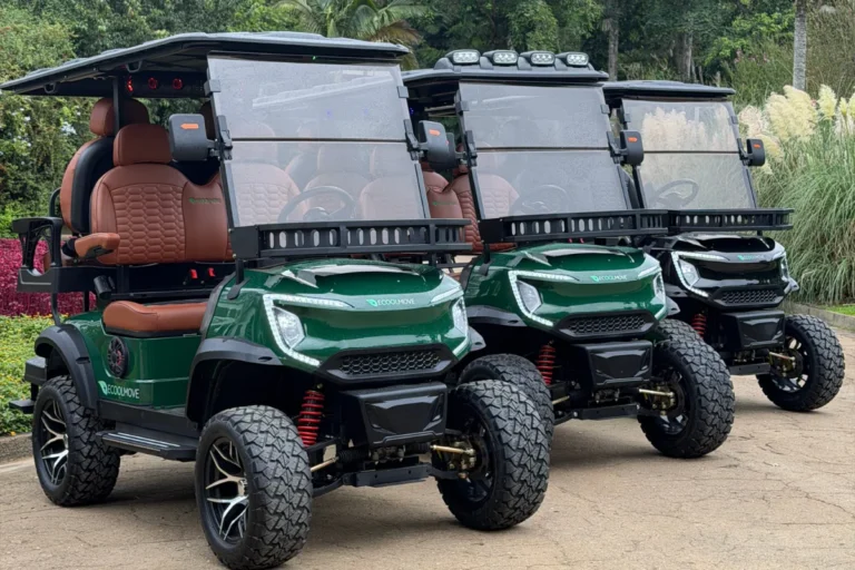 Veja como montar sua frota verde para resorts e hotéis
